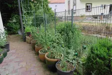 Juni   0223.webp