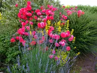 DSC03031.JPG