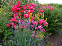 DSC03031.JPG