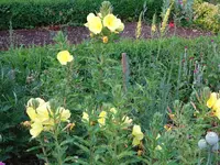 DSC03030.JPG