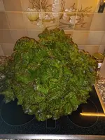 20230620_224826.webp