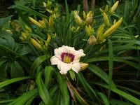 IMG_20230621_085558.jpg