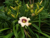 IMG_20230621_085558.webp