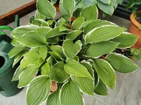 IMG_20230621_075312.webp