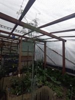 IMG_20230621_100138.jpg