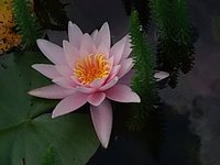 IMG_20230621_132937.jpg