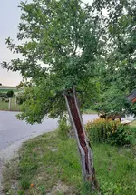 20230621_202640.webp