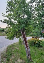 20230621_202640.jpg
