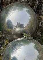 20230621_212247.jpg