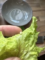 IMG_9055.jpeg