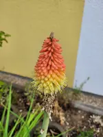 20230621_074134.webp