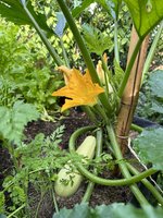 IMG_9202.jpeg