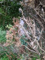 IMG_20230621_200933.jpg