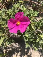A8C198AA-C457-4DDD-9DA3-A4BB9E93C369.webp