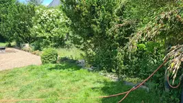20230615_133154.webp