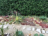 IMG_1013.JPG