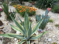 IMG_1014.JPG