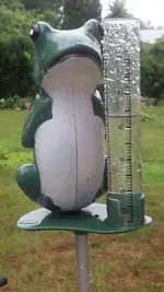 Frosch.webp