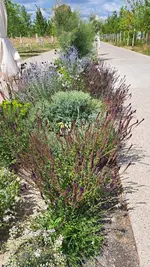 20230623_121613.webp