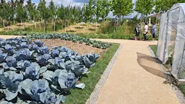 20230623_122214.webp