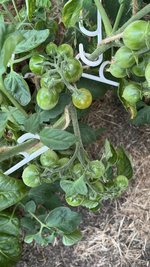 IMG_6303.jpeg