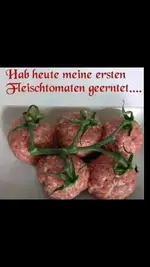 FB_IMG_1687555801658.webp