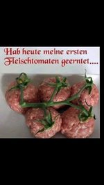 FB_IMG_1687555801658.jpg