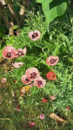 20230614_075325.webp