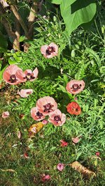 20230614_075325.jpg