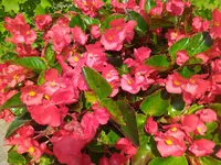 IMG_20230622_122155.webp