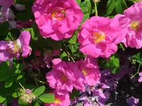 IMG_20230622_131704.webp