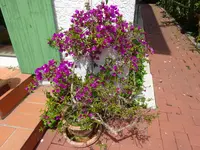 DSC03047.webp