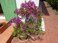 DSC03047.JPG