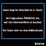 IMG-20230624-WA0001.webp