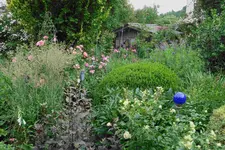 Juni     7623.webp