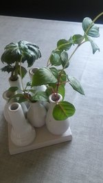 Vase.jpg
