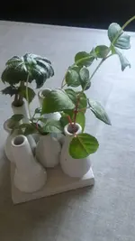 Vase.webp