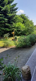 20230623_134040.jpg
