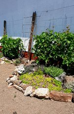 20230623_133849.jpg