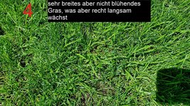 4b.jpg