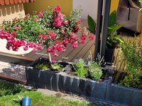 20230625_120947.jpg