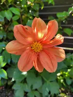 20230625_113526.jpg