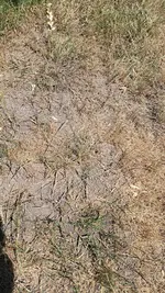 20230625_131713.webp