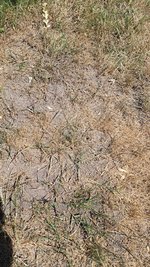 20230625_131713.jpg