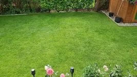 20230625_111923.webp