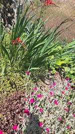 20230625_131749.webp