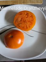 PXL_20230625_122930367~2.jpg