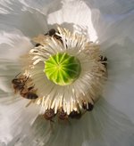 20230624_082628.jpg