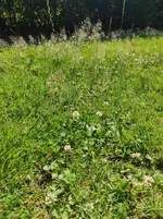 IMG_20230625_154733.webp