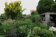 Juni     7523.webp